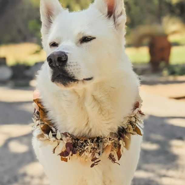 Autumn Dog Garland: $40.00