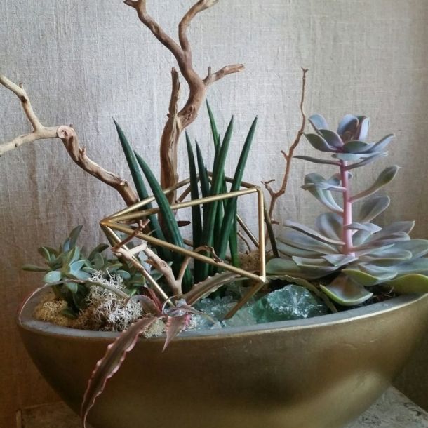Geometric Succulent Garden: $100.00