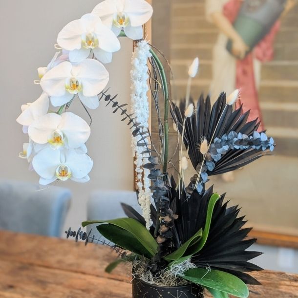 White Phalaenopsis Orchid: $125.00